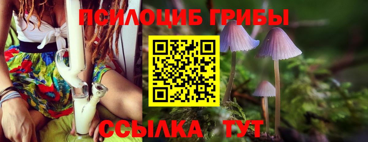 Кунгур  цена   Вход с VPN  Псилоцибиновые грибы GOLDEN TEACHER 